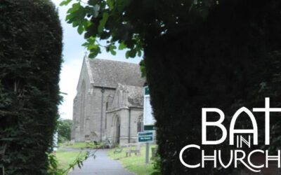 Bats in Churches – St Mary’s Pembridge