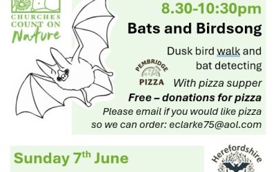 Wildlife Events For all Ages