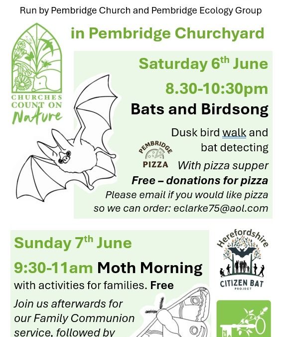 Wildlife Events For all Ages